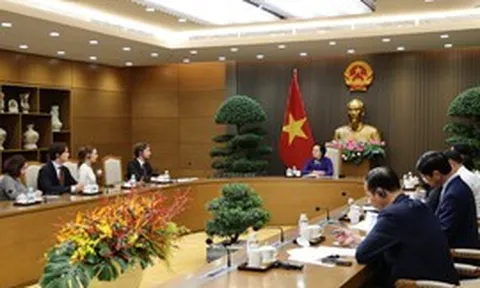 Nghiên cứu mô hình tàu bệnh viện tại Phú Quốc, mở hướng kết hợp y tế và du lịch