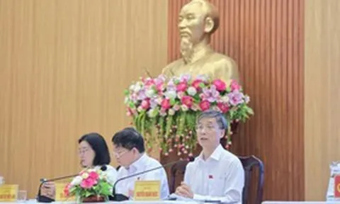 ĐBQH Nguyễn Khánh Ngọc: Đẩy mạnh số hóa, chia sẻ dữ liệu để giảm giấy tờ cho người dân