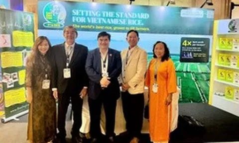 Gạo ST25 của Việt Nam giành giải Nhì "Gạo ngon nhất thế giới 2026"