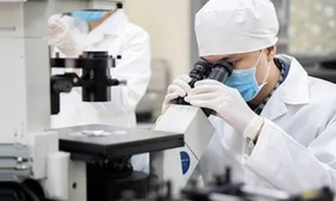 9 nhà khoa học Việt Nam lọt Top 10.000 người có ảnh hưởng nhất thế giới, một cái tên đặc biệt gây chú ý
