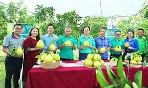 Phát huy nội lực, xây dựng nông thôn mới theo hướng hiện đại, bền vững