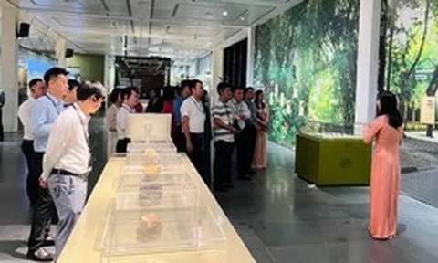Khơi thông nguồn lực, phát huy năng lực lĩnh vực bảo tồn, bảo tàng