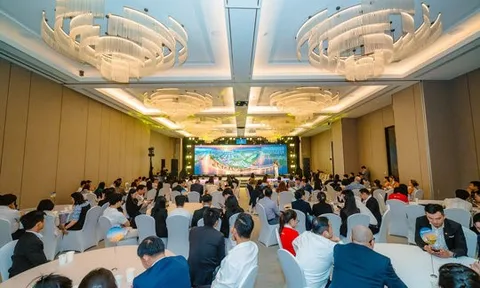 Newtown Diamond: Sức hút từ nhu cầu sở hữu căn hộ cao cấp tại Đà Nẵng