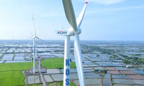 KOS giảm sàn 16 phiên liên tiếp, Kosy nói gì về nguyên nhân?
