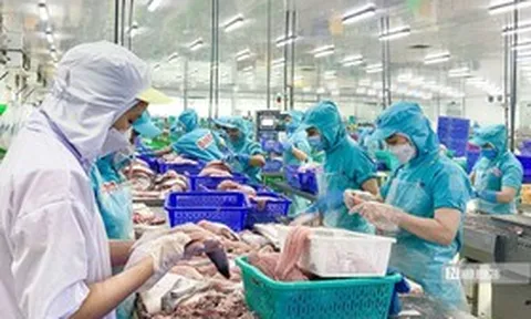 Xuất khẩu thủy sản sang Anh sắp có thêm yêu cầu về hồ sơ IUU