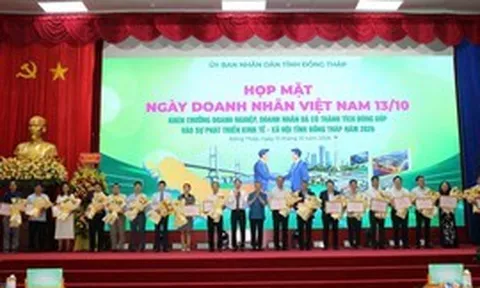 Doanh nghiệp đóng góp 73,6% tổng thu ngân sách, Đồng Tháp tạo thêm động lực tăng trưởng