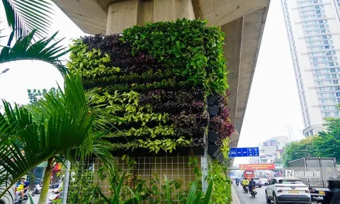 Hà Nội bắt đầu phủ xanh trụ cầu, hầm chui, nhà chờ xe buýt