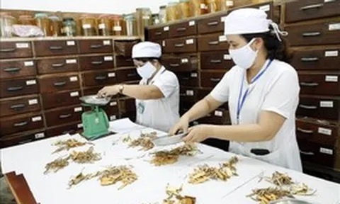 Mục tiêu 2030: 100% tỉnh, thành phố có bệnh viện y học cổ truyền