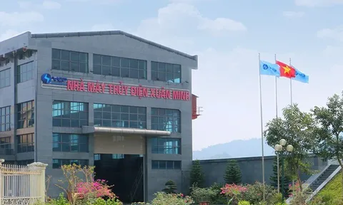 Thủy điện Xuân Minh lãi chưa đến 500 triệu đồng trong quý III/2026