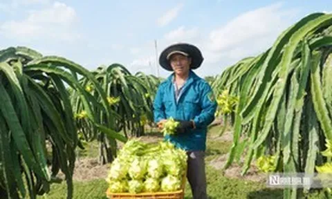 Gắn kết thương mại với du lịch biển ở Lâm Đồng, mở lối ra cho đặc sản địa phương