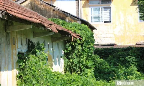 Hiện trạng khu nhà đất công gần 6.000m² ở Huế vừa đổi chủ quản sau thời gian dài xuống cấp