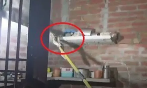 Vào bếp nấu ăn, người phụ nữ hét thất thanh khi chứng kiến cảnh tượng "nổi da gà"