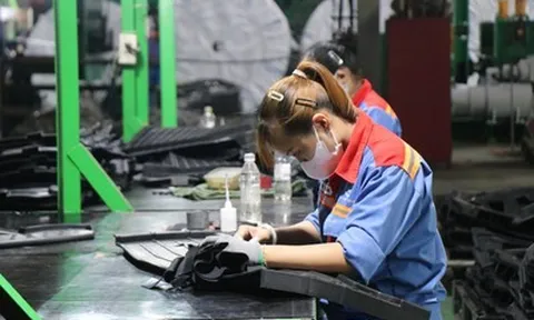 Cao su Bến Thành tăng tốc lợi nhuận, hoàn thành hơn 91% mục tiêu năm