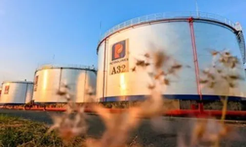Xây lắp và Thương mại Petrolimex đăng ký thoái toàn bộ vốn tại PITCO