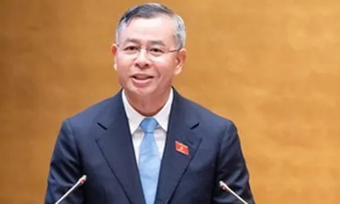 "Doanh nghiệp một người" không bắt buộc phải có Chủ tịch, Kế toán trưởng