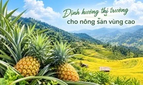 Định hướng thị trường cho nông sản vùng cao