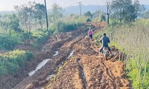 Dự án CRIEM 921 tỷ đồng tại Quảng Trị: Vướng mặt bằng, nhà thầu chưa thể thi công