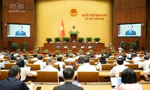 Luật Nuôi con nuôi (sửa đổi): Bổ sung cấm người có án tù treo nhận con nuôi