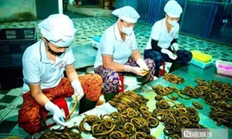 Bất ngờ về làng nghề chế biến con "đặc sản" thu về hàng trăm tỷ đồng mỗi năm