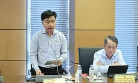 Xác định rõ phạm vi điều chỉnh giữa Luật Đấu giá tài sản với các luật chuyên ngành