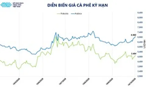 THỊ TRƯỜNG HÀNG HÓA: Lo ngại về thời tiết đẩy giá cà phê tăng mạnh