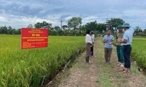 Thúc đẩy xây dựng nông thôn mới gắn với ứng dụng kỹ thuật công nghệ