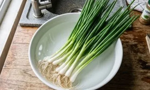 Mẹo bảo quản hành lá tươi trong tủ lạnh cả tháng, không lo héo úa