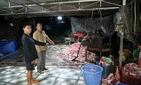 Triệt phá đường dây đưa 400 tấn thịt heo bệnh ra thị trường, thu lợi 10 tỷ đồng