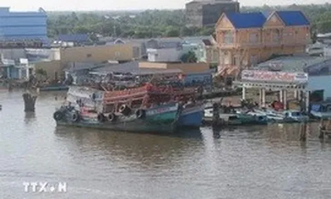 Đề nghị điều tra việc bỏ lọt xử lý hơn 5.000 vụ tàu cá mất kết nối giám sát hành trình