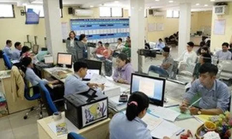 Vị trí việc làm: Căn cứ để xác định nhân lực, biên chế