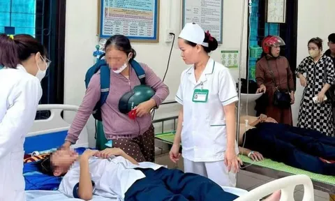 Học sinh ném đá vào tổ ong trong sân trường, 27 em phải nhập viện