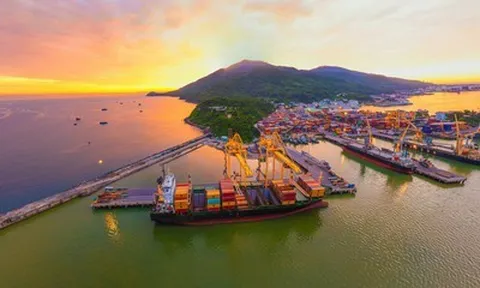 Cảng Đà Nẵng báo lãi lớn quý III/2026, tiền gửi ngắn hạn gần 900 tỷ đồng