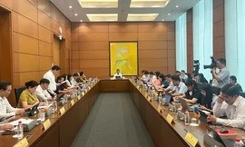 Sửa đổi Luật Đất đai: Phải phục vụ thiết thực cho các mục tiêu phát triển