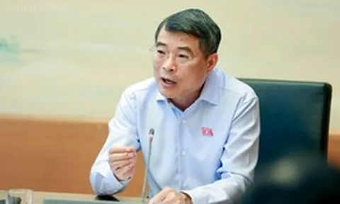 Thủ tướng: Đấu thầu hay không, chủ đầu tư là người quyết định và phải đánh giá theo kết quả cuối cùng