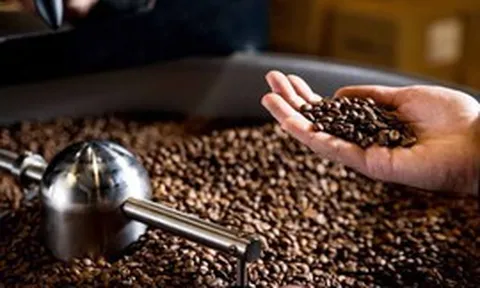 Đưa cà phê giảm phát thải vào chuỗi giá trị toàn cầu