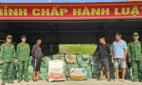 Bắt giữ vụ vận chuyển trái phép hơn 6 tấn nầm lợn, trứng gà non đông lạnh