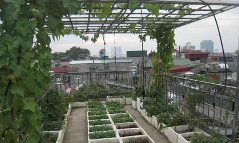 Những câu chuyện nhặt trên phố