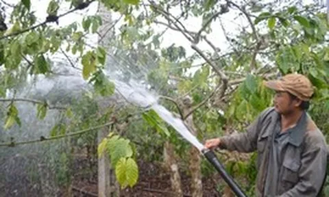 Bài 2: Giữ nước từ sớm: Giải pháp cấp bách chống hạn ở Nam Trung Bộ và Tây Nguyên
