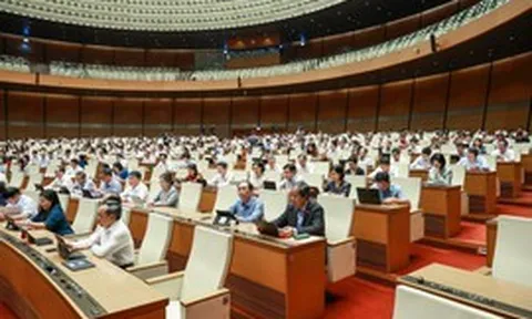 Sửa Luật Đo lường: Giảm thủ tục phải đi đôi với bảo vệ người tiêu dùng
