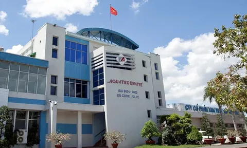Thu nhập lãnh đạo Thủy sản Bến Tre giảm mạnh trong 9 tháng đầu năm