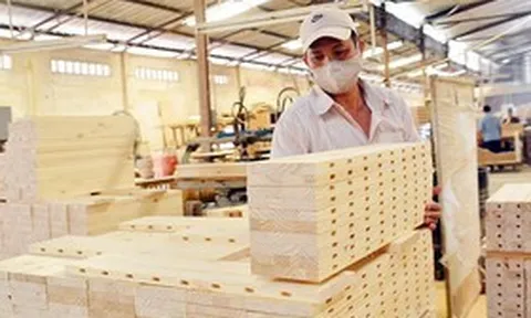 50 mặt hàng của Việt Nam có nguy cơ bị điều tra phòng vệ thương mại