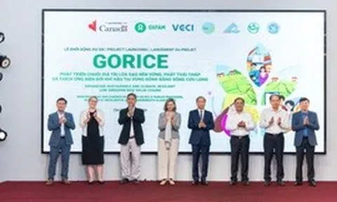 Canada hỗ trợ ĐBSCL phát triển lúa gạo phát thải thấp, 48.200 người dự kiến hưởng lợi