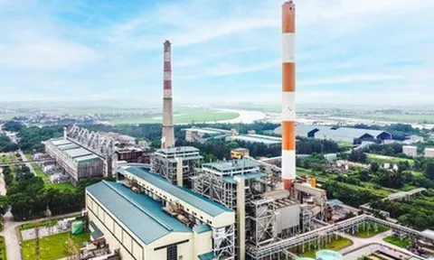 Lợi nhuận 9 tháng tăng hơn 200%, Nhiệt điện Phả Lại chi hơn 144 tỷ đồng trả cổ tức