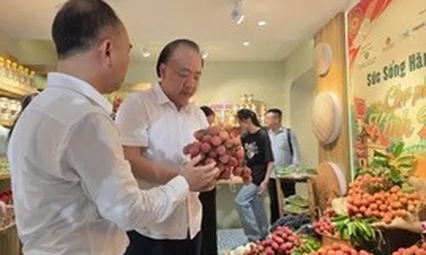 Truy xuất nguồn gốc hàng hóa: Công cụ bảo vệ người tiêu dùng và doanh nghiệp