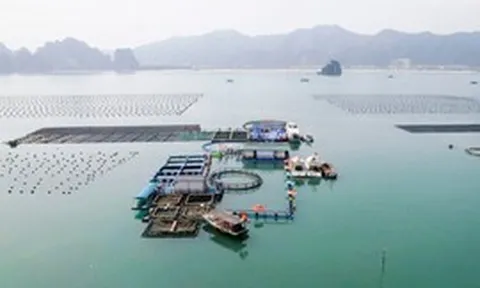 Gỡ các điểm nghẽn để mở rộng không gian kinh tế biển