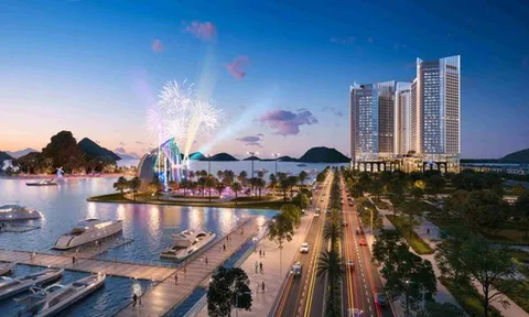 Lợi nhuận tăng nhưng dòng tiền kinh doanh của Everland âm gần 600 tỷ đồng