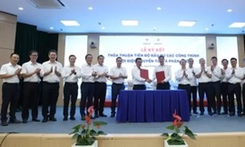 EVNNPT và EVNCPC thống nhất tiến độ đầu tư đồng bộ lưới điện miền Trung – Tây Nguyên