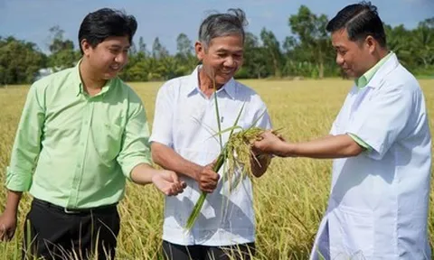 Hàng tồn kho của PAN vượt 4.300 tỷ đồng