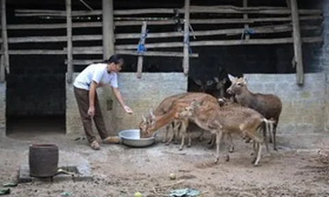 Đầu tư hạ tầng ở miền núi Thanh Hóa: Điện, nước vẫn là yêu cầu cấp thiết