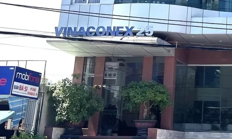 Vinaconex 25 bị phạt, truy thu thuế hàng tỷ đồng